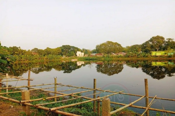 মুরাদনগরে টেন্ডার ছাড়াই জেলা পরিষদের দিঘি বরাদ্দের অভিযোগ